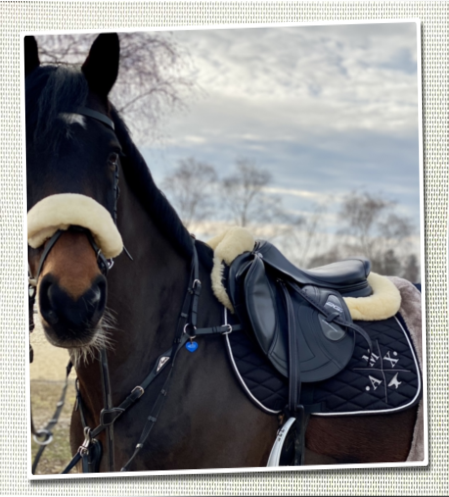 Schabrackenstickerei